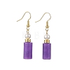 304 Stainless Steel Dangle Earrings EJEW-JE07294-4
