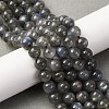 Natural Labradorite Beads Strands G-H326-01-8mm-1