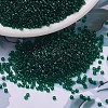 MIYUKI Delica Beads SEED-X0054-DB0713-1
