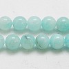 Natural Gemstone Beads Strands G-I025-8mm-06-3