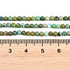 Natural HuBei Turquoise Beads Strands G-D100-A01-3mm-5