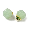 Glass Charms GLAA-P072-04G-06-2