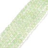 Natural Prehnite Beads Strands G-C009-B21-1