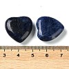 Natural Sodalite Heart Palm Stones G-M416-09E-3