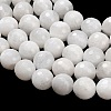 Natural Rainbow Moonstone Beads Strands G-C280-B15-10mm-4