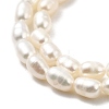 Natural Cultured Freshwater Pearl Beads Strands PEAR-I007-01O-01B-4