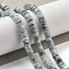 Natural Larimar Beads Strands G-Q024-B03-04-2