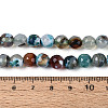 Dyed & Heated Natural Fire Crackle Agate Beads Strands G-N359-01A-04-5