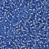 8/0 Glass Seed Beads X2-SEED-A005-3mm-26-2