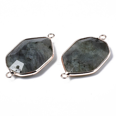 Natural Labradorite Links Connectors G-S359-280B-1