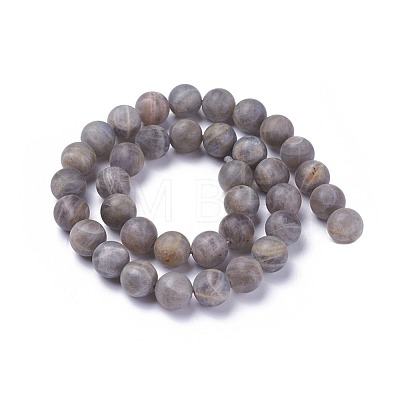 Natural Labradorite Beads Strands G-G772-04-C-1