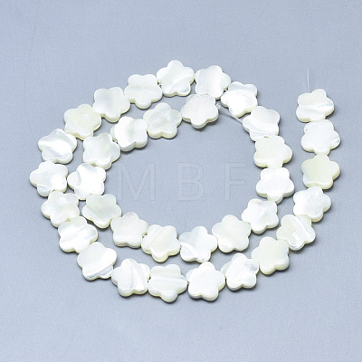 Natural Trochid Shell/Trochus Shell Beads SSHEL-N036-047-1