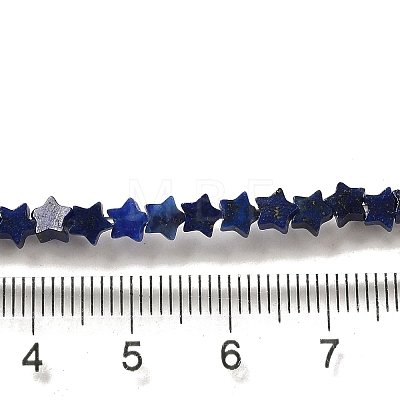Natural Lapis Lazuli Beads Strands G-G085-B02-01-1