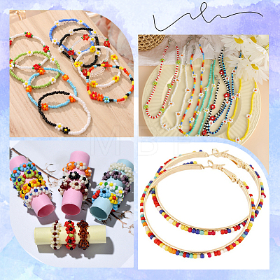 Glass Seed Beads SEED-SC0001-51B-02-1