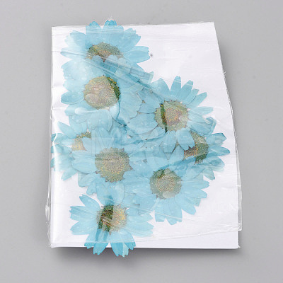 Pressed Dried Flowers DIY-WH0308-412B-1-1