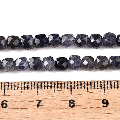 Natural Iolite Beads Strands G-N342-112A-1