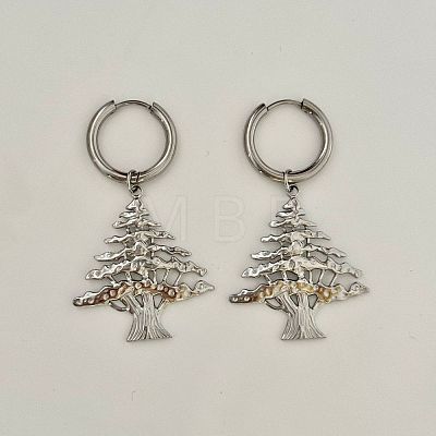 Christmas 304 Stainless Steel Hoop Dangle Earrings for Women WG2F4B5-02-1