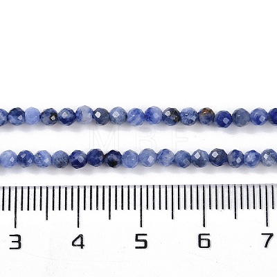 Natural Sodalite Beads Strands LS-G-G139-A07-02-1