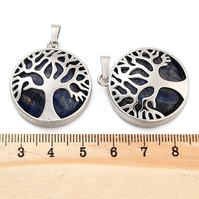 Natural Sodalite Pendants G-P350-D16-1