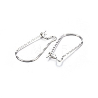 316L Titanium Steel Hoop Earrings STAS-P210-28P-1
