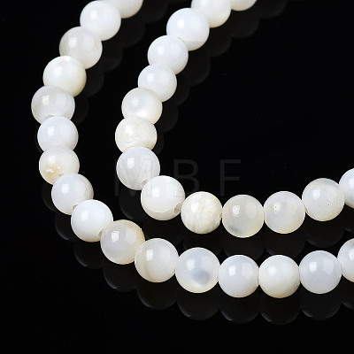 Natural Freshwater Shell Beads Strands X-BSHE-T009A-01A-1