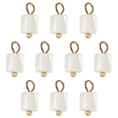 10Pcs Natural Shell Column Charms SHEL-TA0001-38-1