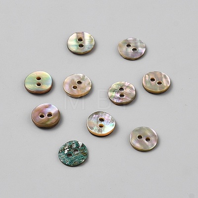 2-Hole Shell Buttons BUTT-WH0030-71B-1