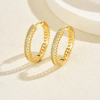 Hollow Brass Clear Cubic Zirconia Hoop Earrings SP8143-1