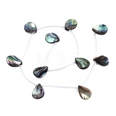 Natural Abalone Shell/Paua Shell Beads Strands SSHEL-N034-160B-01-1