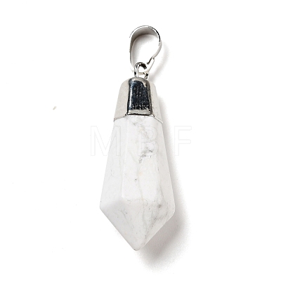 Natural Howlite Pointed Pendants G-P474-02P-09-1