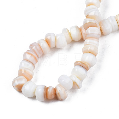 Natural Trochid Shell/Trochus Shell Beads Strands SHEL-S258-081-A01-1