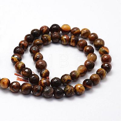 Faceted Natural Tiger Eye Beads Strands G-F364-04-8mm-1