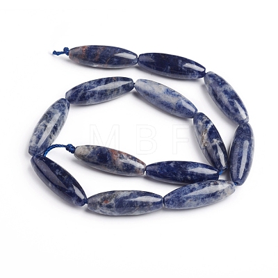 Natural Sodalite Beads Strands G-E560-I01-10x30mm-1