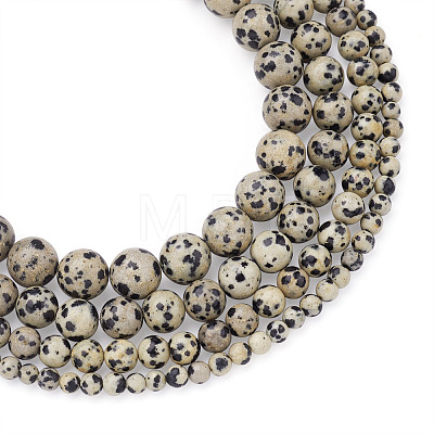 4 Strands 4 Style Natural Dalmatian Jasper Beads Strands G-YS0001-06-1