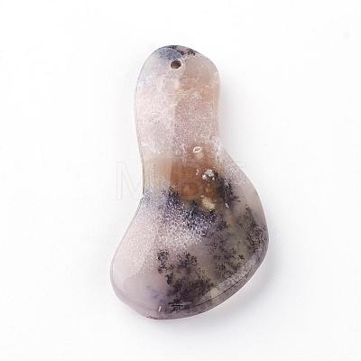 Natural Agate Pendants G-R410-18-1