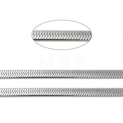 304 Stainless Steel Flat Snake Chains CHS-E012-04P-1