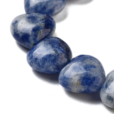 Natural Blue Spot Jasper Beads Strands G-B022-26C-1