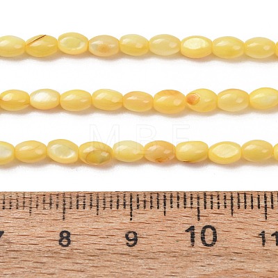 Dyed Natural Freshwater Shell Beads Strands SH-CBA2978-06B-1