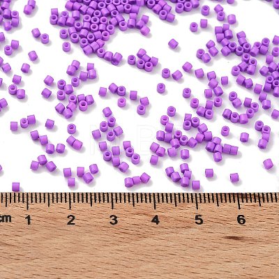 Baking Paint Glass Seed Beads X-SEED-S042-05B-72-1