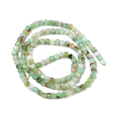 Natural Chrysoprase Beads Strands G-G140-C07-02A-1