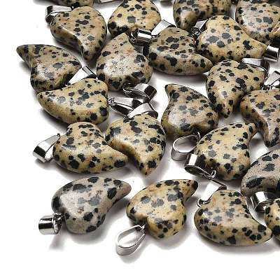 Natural Dalmatian Jasper Pendants G-B127-11P-02-1