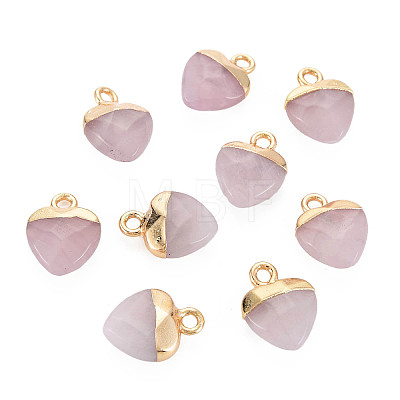 Natural & Synthetic Mixed Stone Charms G-N326-121-M-1