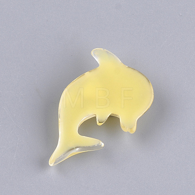 Resin Cabochons CRES-T011-10-1