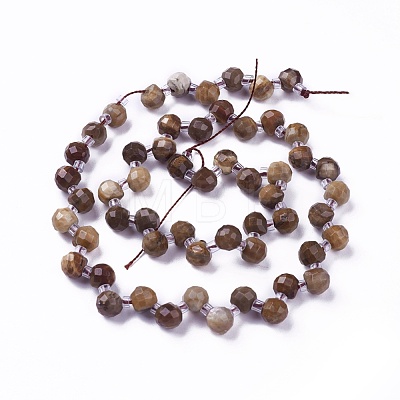 Natural Petrified Wood Beads Strands G-I246-03-1