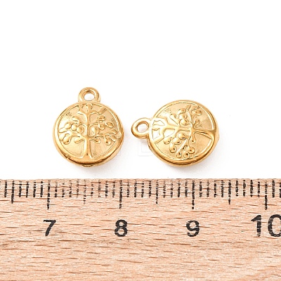 304 Stainless Steel Charms STAS-K303-08F-G-1
