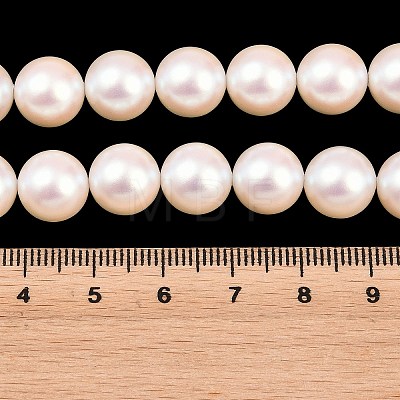Electroplated Shell Pearl Beads Strands BSHE-C011-01C-1