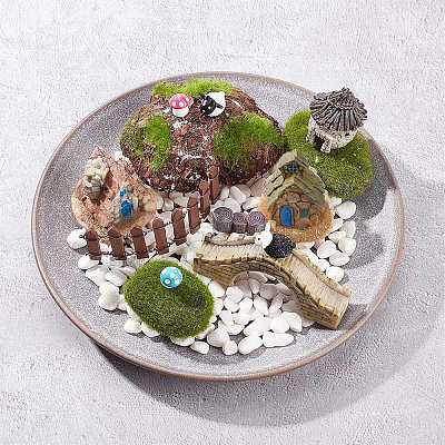 Gorgecraft Succulent Micro Landscape Dollhouse Ornaments DJEW-GF0001-55-1
