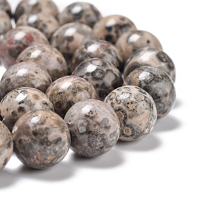 Natural Leopard Skin Jasper Beads Strands G-R474-004-1