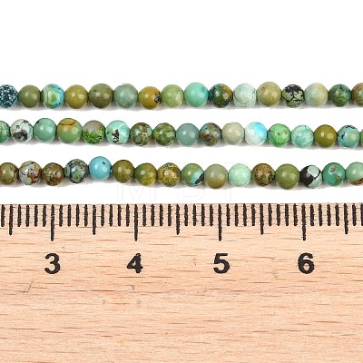 Natural HuBei Turquoise Beads Strands G-D100-A01-3mm-1