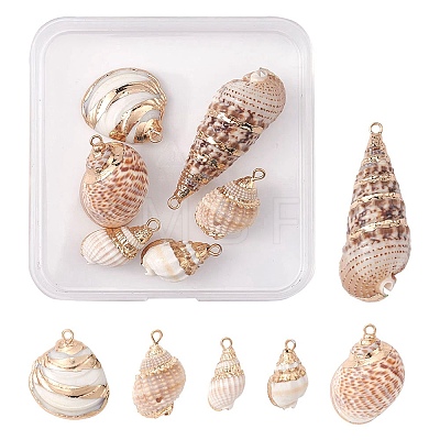 6Pcs 6 Styles Electroplated Natural Spiral Shell Pendants SSHEL-YW0001-06-1